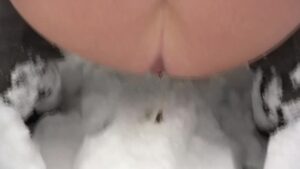 Free Scat Porn