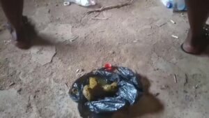 Free Scat Porn