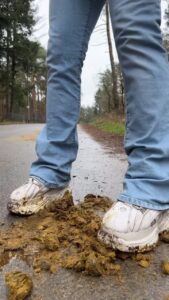 Free Scat Porn