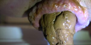 Free Scat Porn