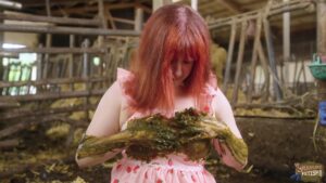 Free Scat Porn