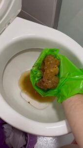 Free Scat Porn