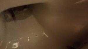 Free Scat Porn
