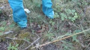 Free Scat Porn