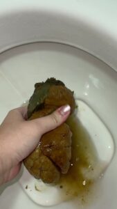 Free Scat Porn