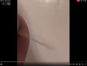 Free Scat Porn