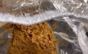 Free Scat Porn