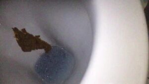 Free Scat Porn