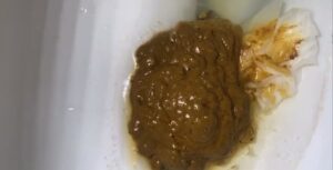 Free Scat Porn