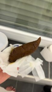 Free Scat Porn