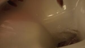 Free Scat Porn