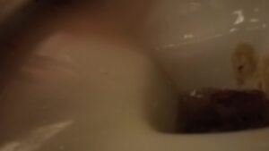 Free Scat Porn