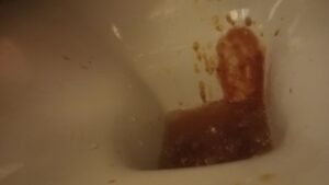 Free Scat Porn