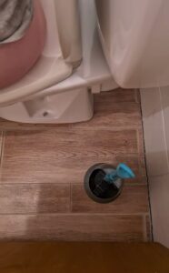 Free Scat Porn