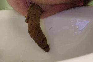 Free Scat Porn