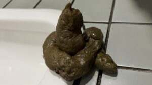 Free Scat Porn