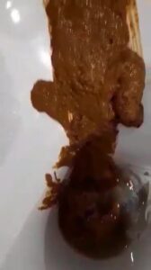 Free Scat Porn