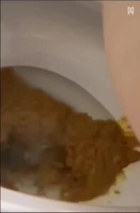 Free Scat Porn