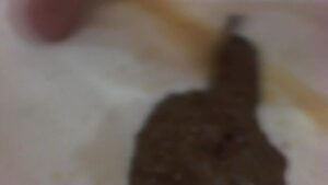 Free Scat Porn