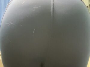 Free Scat Porn