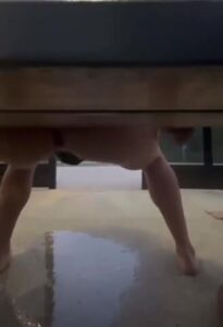 Free Scat Porn