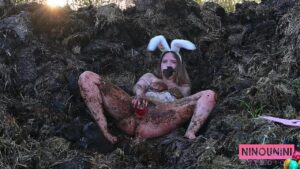 Free Scat Porn