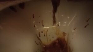 Free Scat Porn