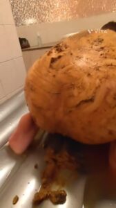 Free Scat Porn