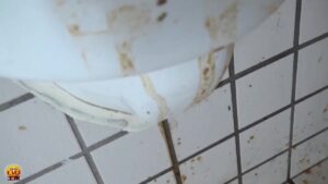 Free Scat Porn