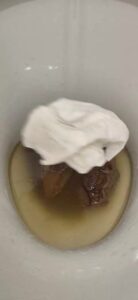 Free Scat Porn