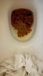 Free Scat Porn