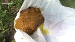 Free Scat Porn