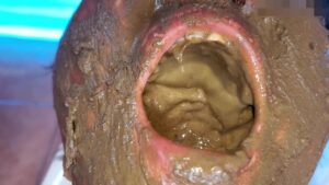 Free Scat Porn