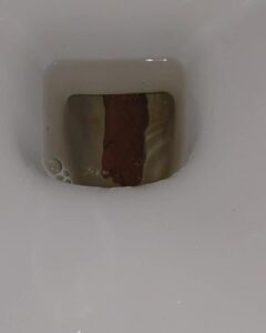 Free Scat Porn