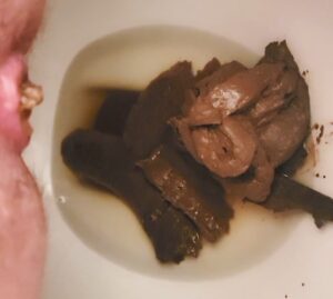 Free Scat Porn
