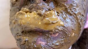 Free Scat Porn