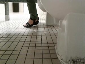 Free Scat Porn