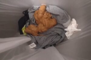 Free Scat Porn