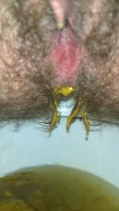 Free Scat Porn