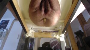 Free Scat Porn