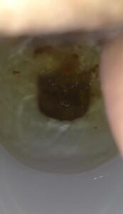 Free Scat Porn