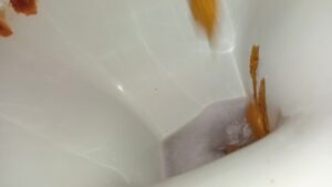 Free Scat Porn