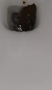 Free Scat Porn