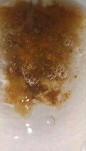Free Scat Porn