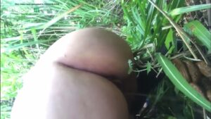 Free Scat Porn