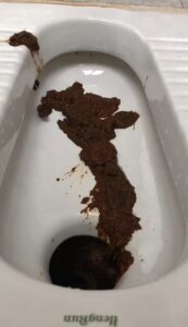 Free Scat Porn