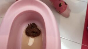 Free Scat Porn