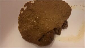 Free Scat Porn
