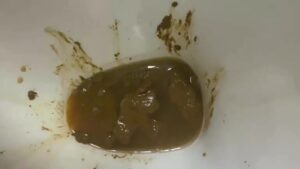 Free Scat Porn