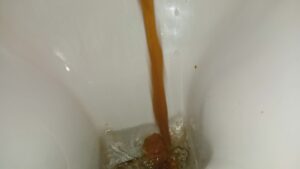 Free Scat Porn